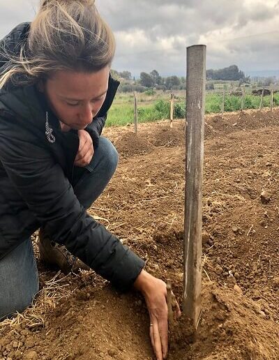 Sophie Cachard Domaine Les Luquettes